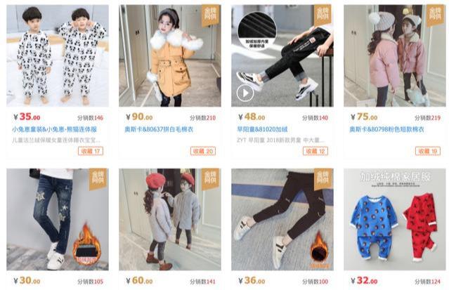 深入了解白尾梢虹雉 Sclater：特征、习性与保护现状