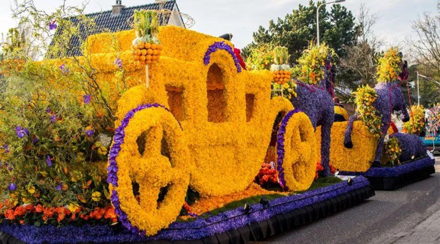 5月8日究竟藏着多少你不知道的彩蛋？