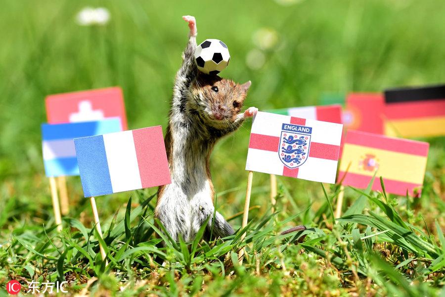 法国欧洲杯揭幕战到底有多刺激？