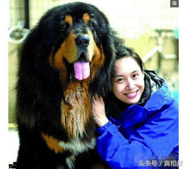 8月13到底是什么日子？新手该怎么玩转？