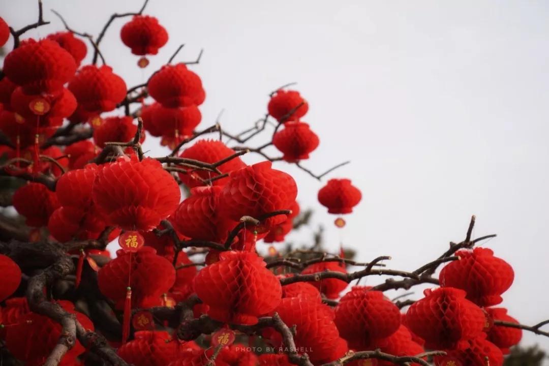 鼠年出生的男孩取什么名字最有福气？