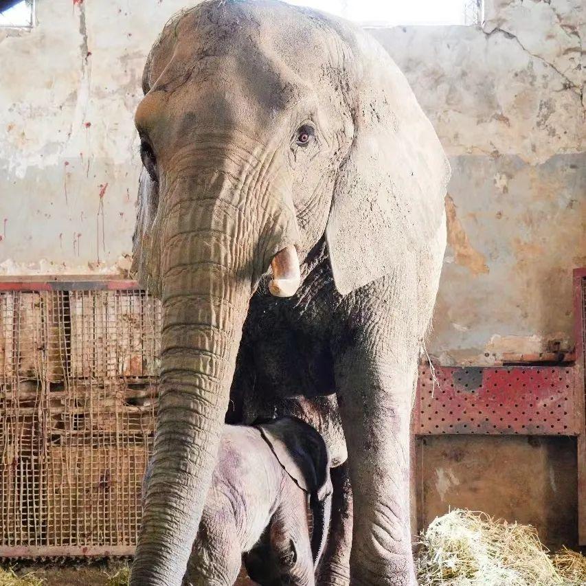 免费起名真的能取出好名字吗？