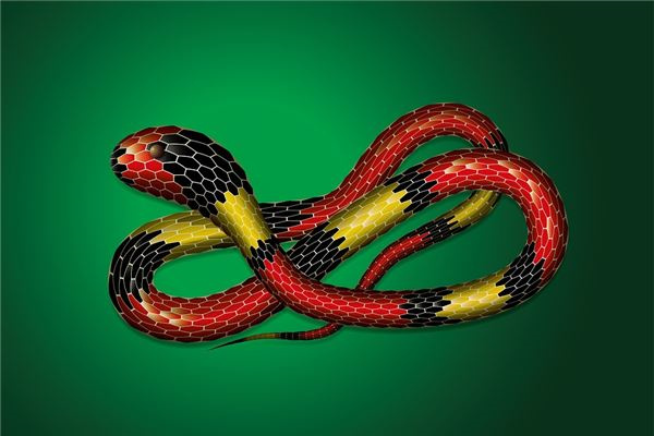 六月号雪的小说_六月4号_六月号是什么星座