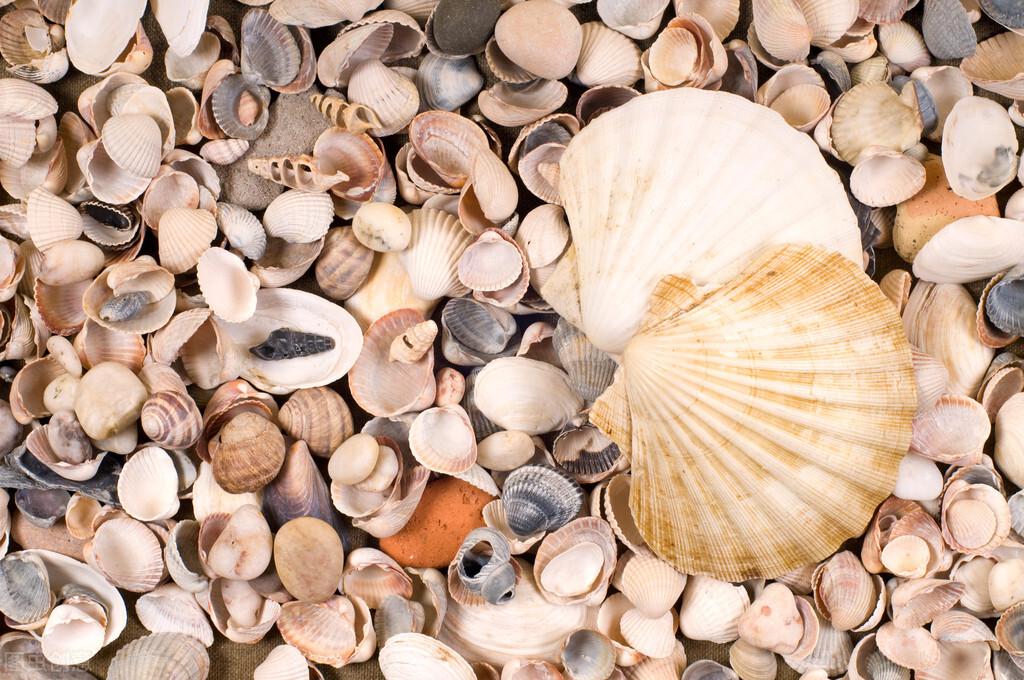 淘宝直通车助手是什么？全面解析其功能与使用技巧