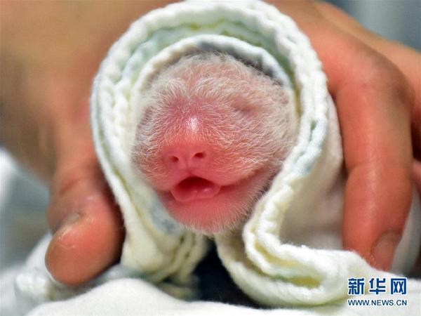 2013年农历到底是个什么年？