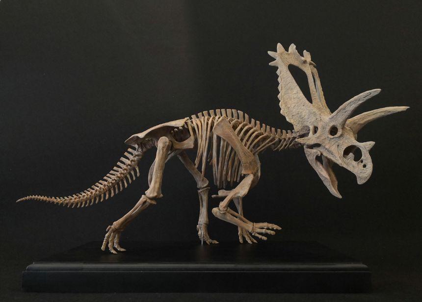 开淘宝店真的可以一分钱不花吗？