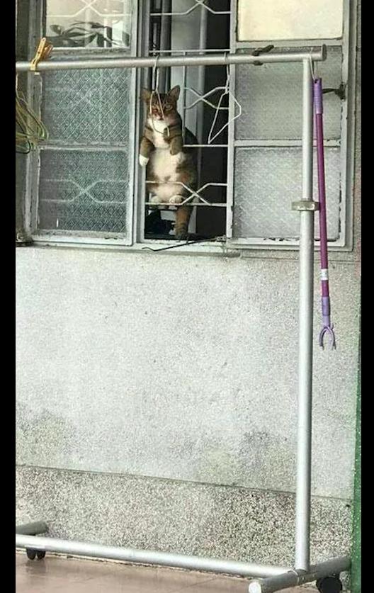 淘宝店铺没人看怎么办？