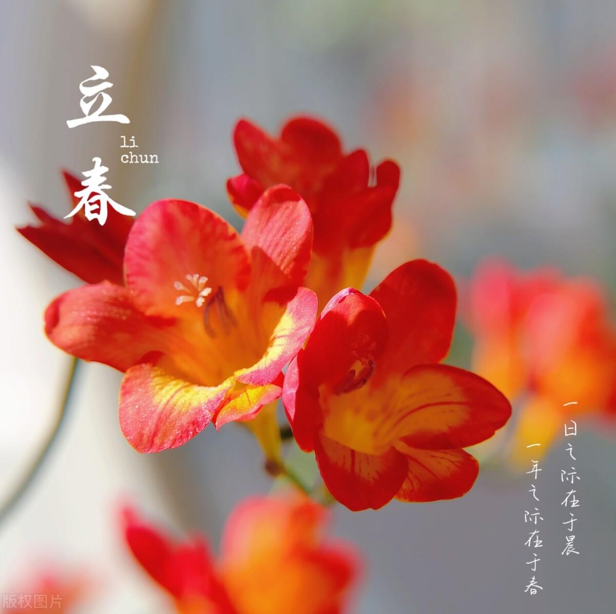 2023年属马的人真要躲春吗？