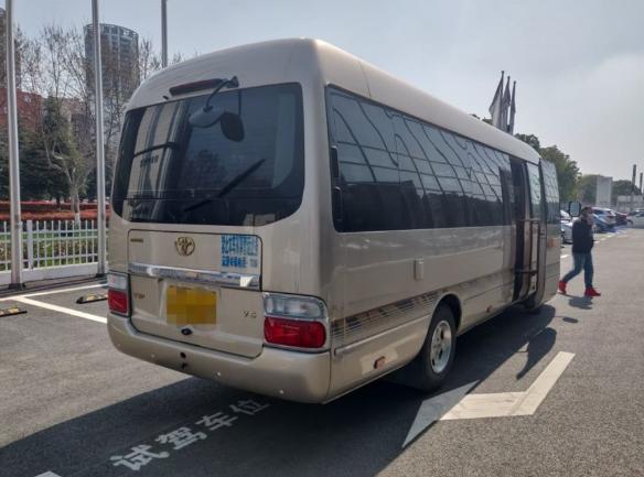 有效制止贵宾犬破坏家具的5个实用方法与技巧