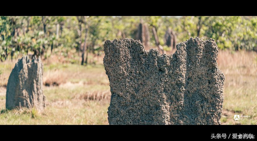 亚马逊全球开店的跨境电子商务模式详解与优势分析