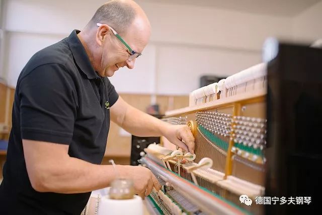 oddone是如何从意大利制琴大师演变为现代多元创意符号的？