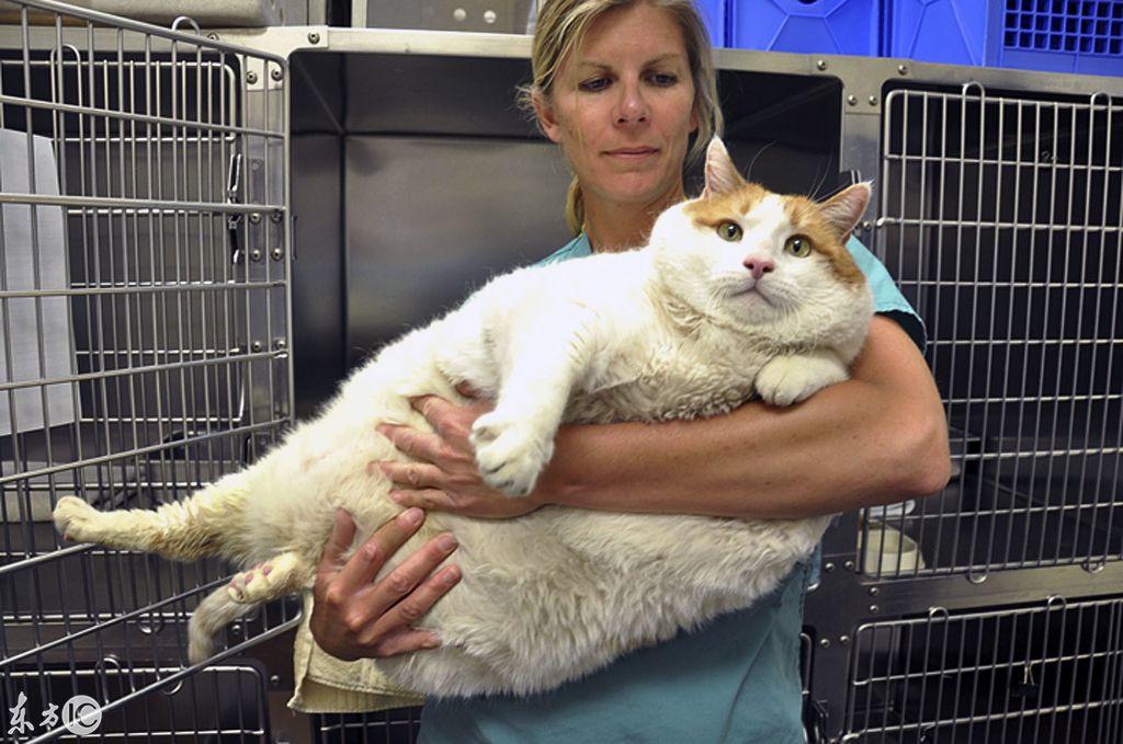 2012年3月19日到底发生了什么重要事件？