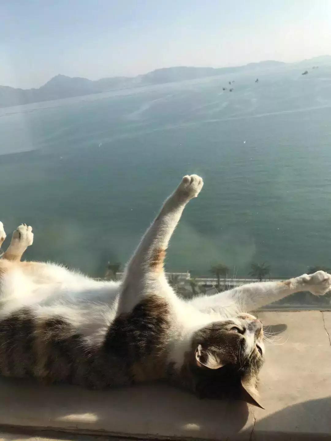 抖音买1000粉到底靠不靠谱？