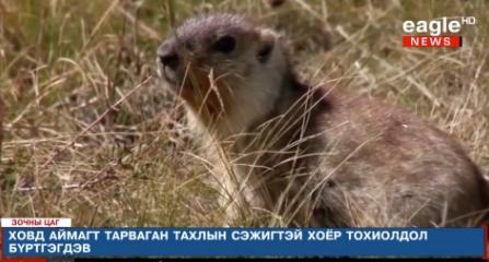 如何预防和治疗狗的致命性疾病？全面指南