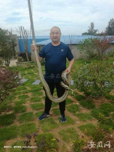 水蛇究竟能长到多长？