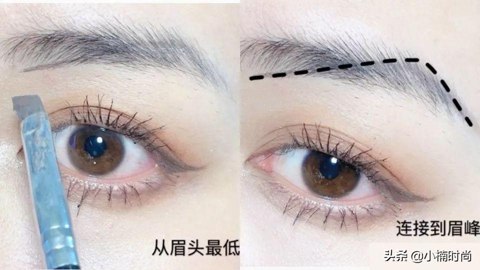 如何捕捉画眉鸟？掌握技巧抓到优质画眉的秘诀