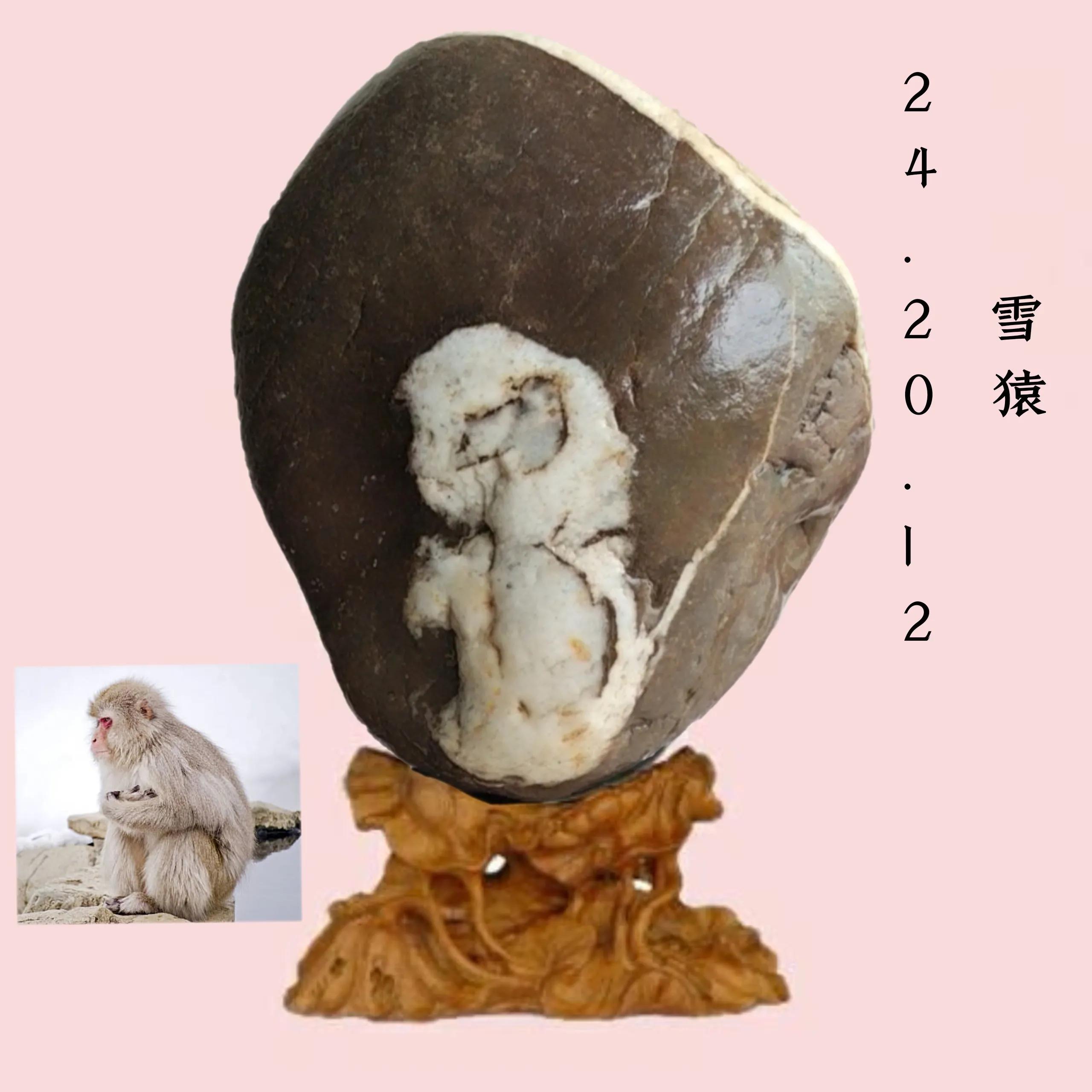 十二生肖为啥偏偏是这12种动物？