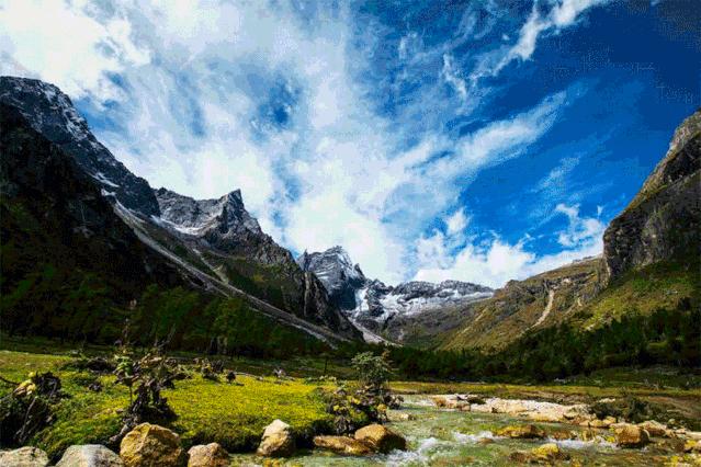 尚村獭兔价格为啥像坐过山车？