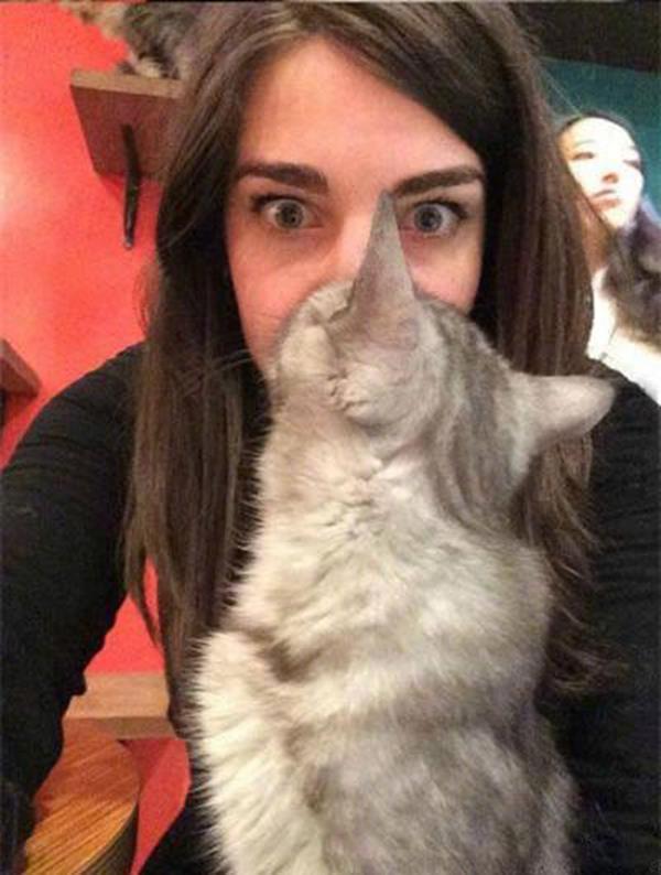 天猫直播间短链接的作用与优势解析，提升营销效果的秘密武器