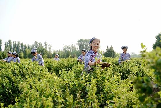 2024年8月最吉利办酒席的日子是哪天？黄道吉日推荐