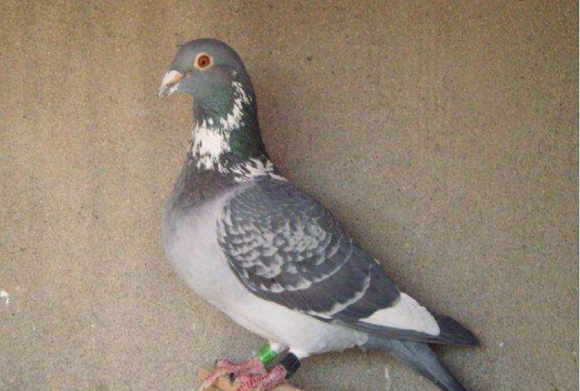 京东白条储蓄卡激活到底有多麻烦？