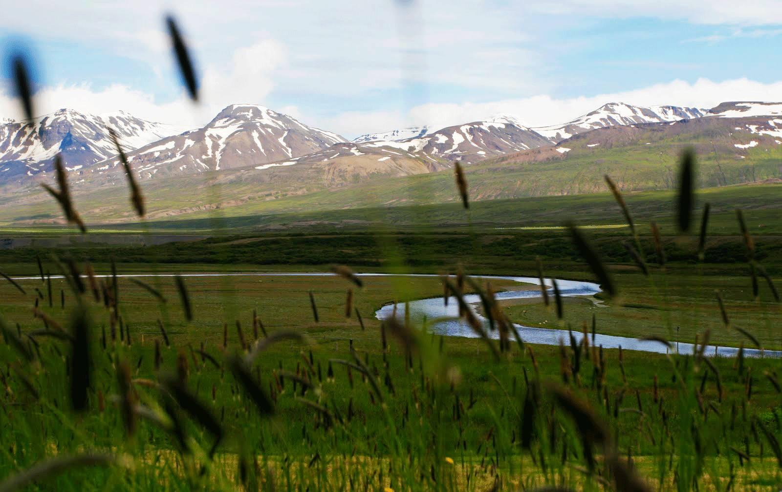 冰岛水怪真的存在吗？