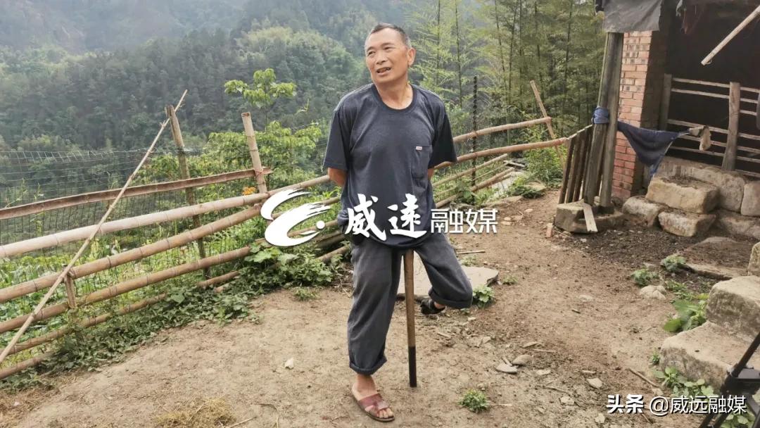 山王蛇真的适合新手当宠物养吗？