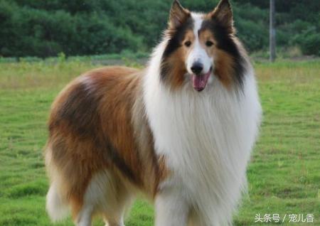 蕴做名字有哪些寓意?蕴做名字吉利吗? 蕴做名字有哪些寓意?蕴做名字吉利吗?