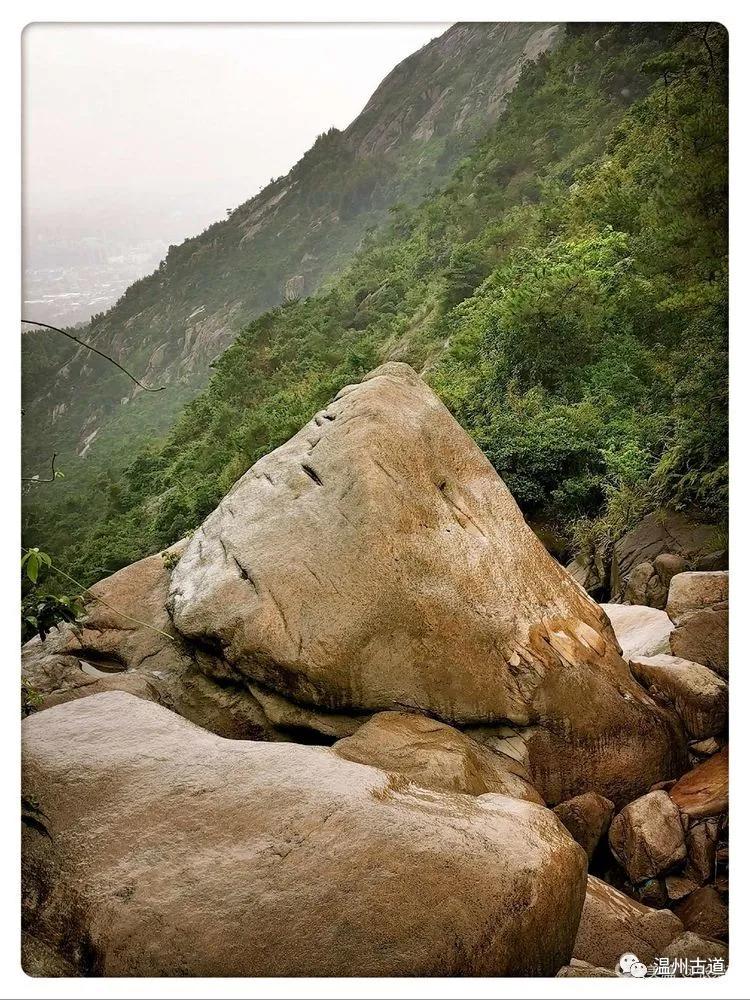 狼狗到底要花多少钱才不算被坑？