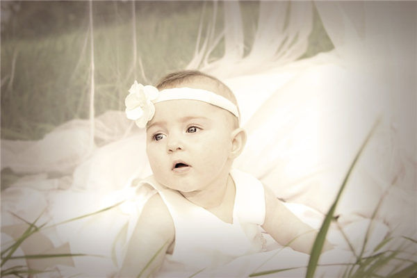 芷读啥_芷读什么拼音_芷怎么读