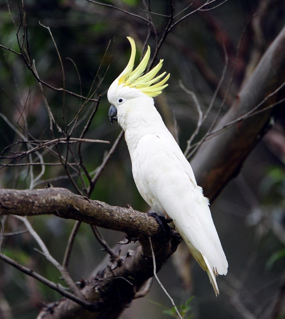 生辰八字真的能算准你的命吗？