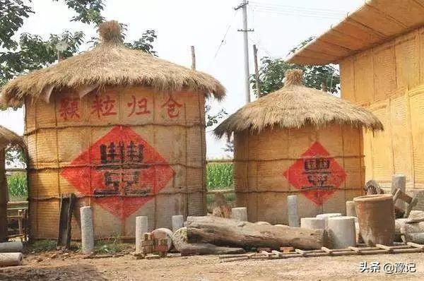 猫的灭鼠药中毒：症状、治疗与预防措施全解析