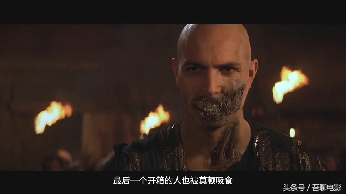 埃及猫真的会带来法老的诅咒吗？