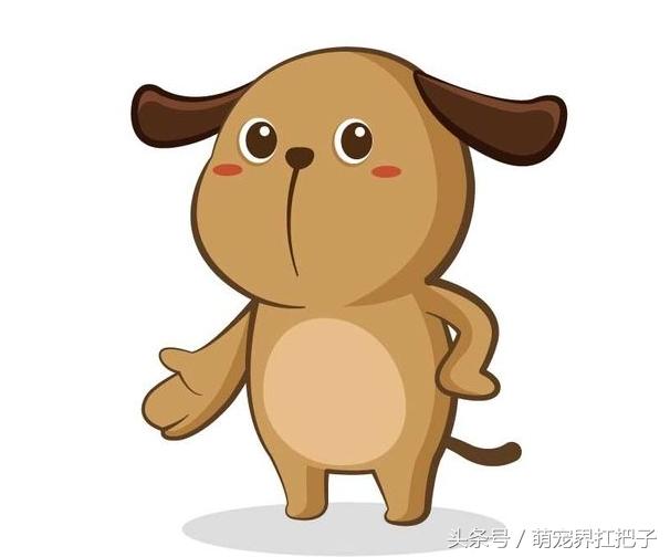 戴貔貅真的会克自己生肖吗？