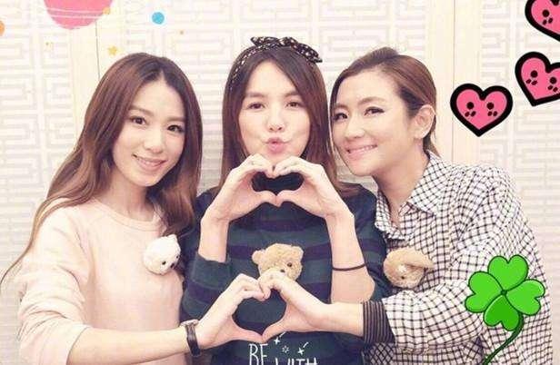 为什么波斯猫照片总能刷爆朋友圈？