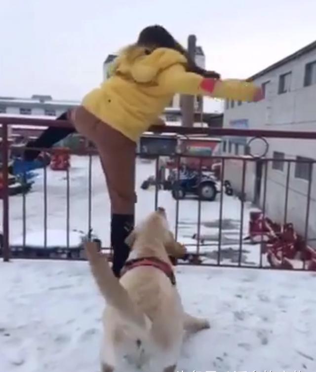 惊！韩国女主播直播时抱狗跳楼，背后究竟发生了什么？