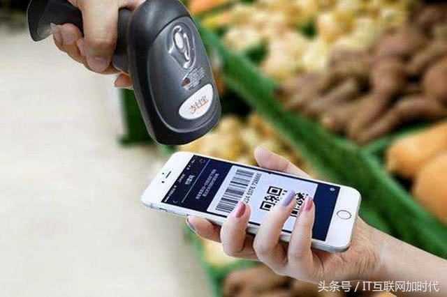 养绿鬣蜥真的像养狗一样简单吗？