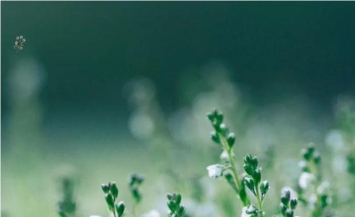 怎么给娃取个好名字还不花冤枉钱？