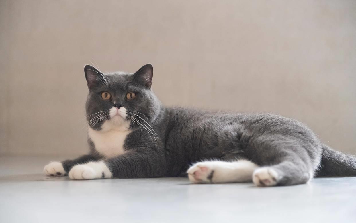 梦见剃光头预示要倒大霉？这可能是你转运的征兆！