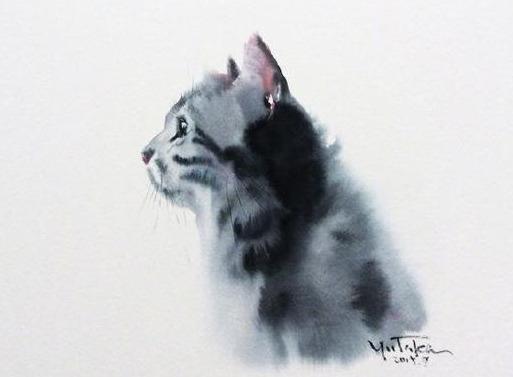 俗人岛华人论坛到底怎么玩？新手必看完整指南！