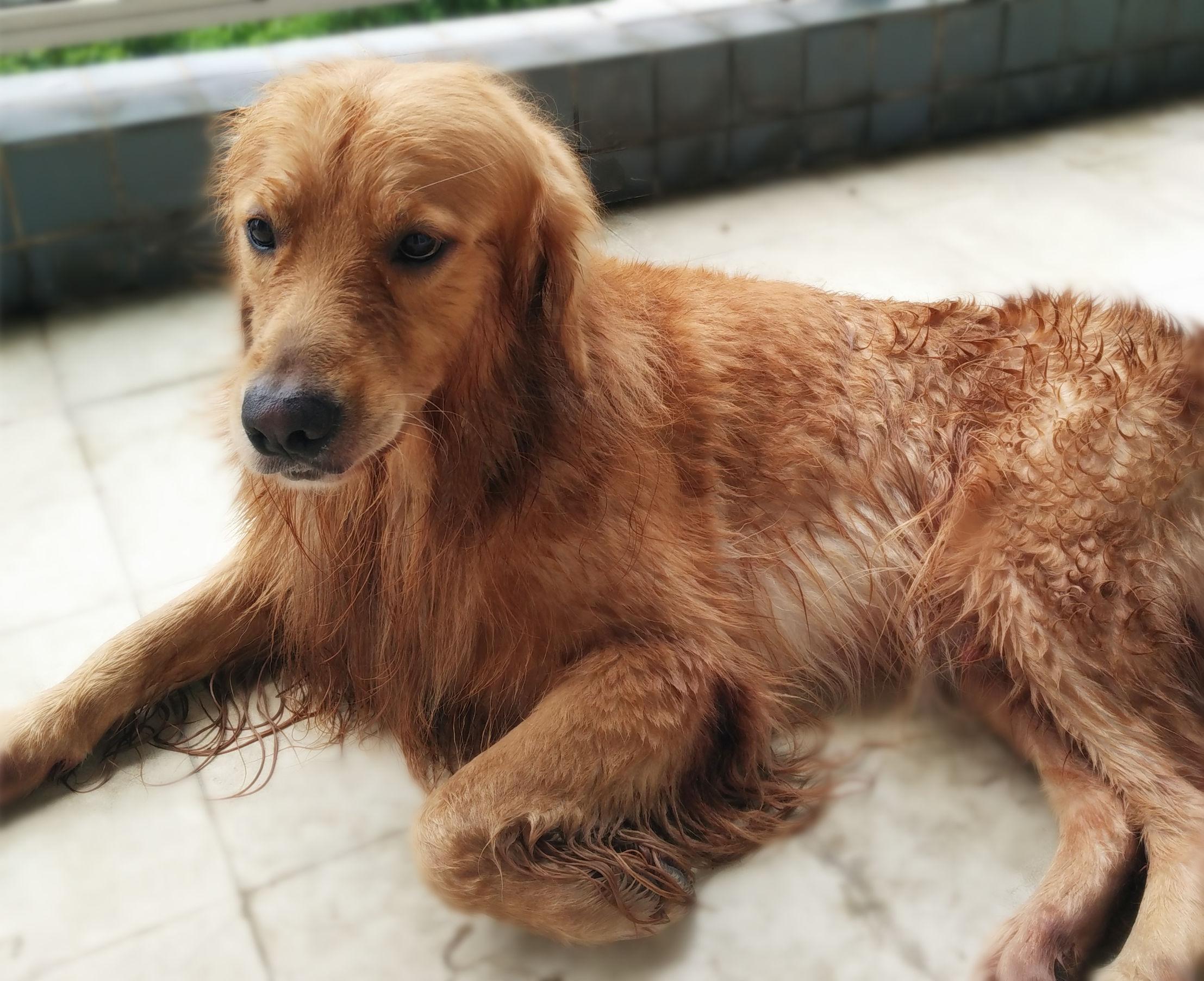 天猫推广全攻略：最有效的天猫推广方法详解