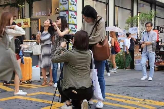 罗威纳犬打架行为分析：原因、预防与解决策略