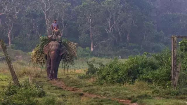 过年寄快递会不会被快递公司放鸽子？