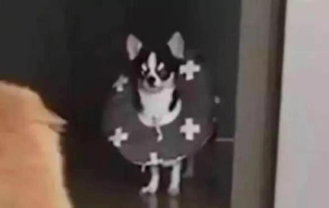 零库存卖女鞋月入过万？淘宝代销真有这么神？