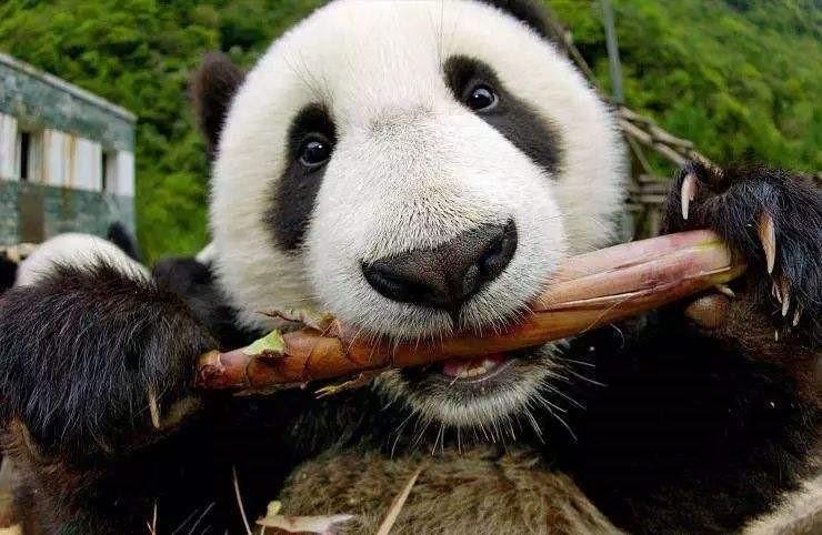 买错电影票只能认栽吗？