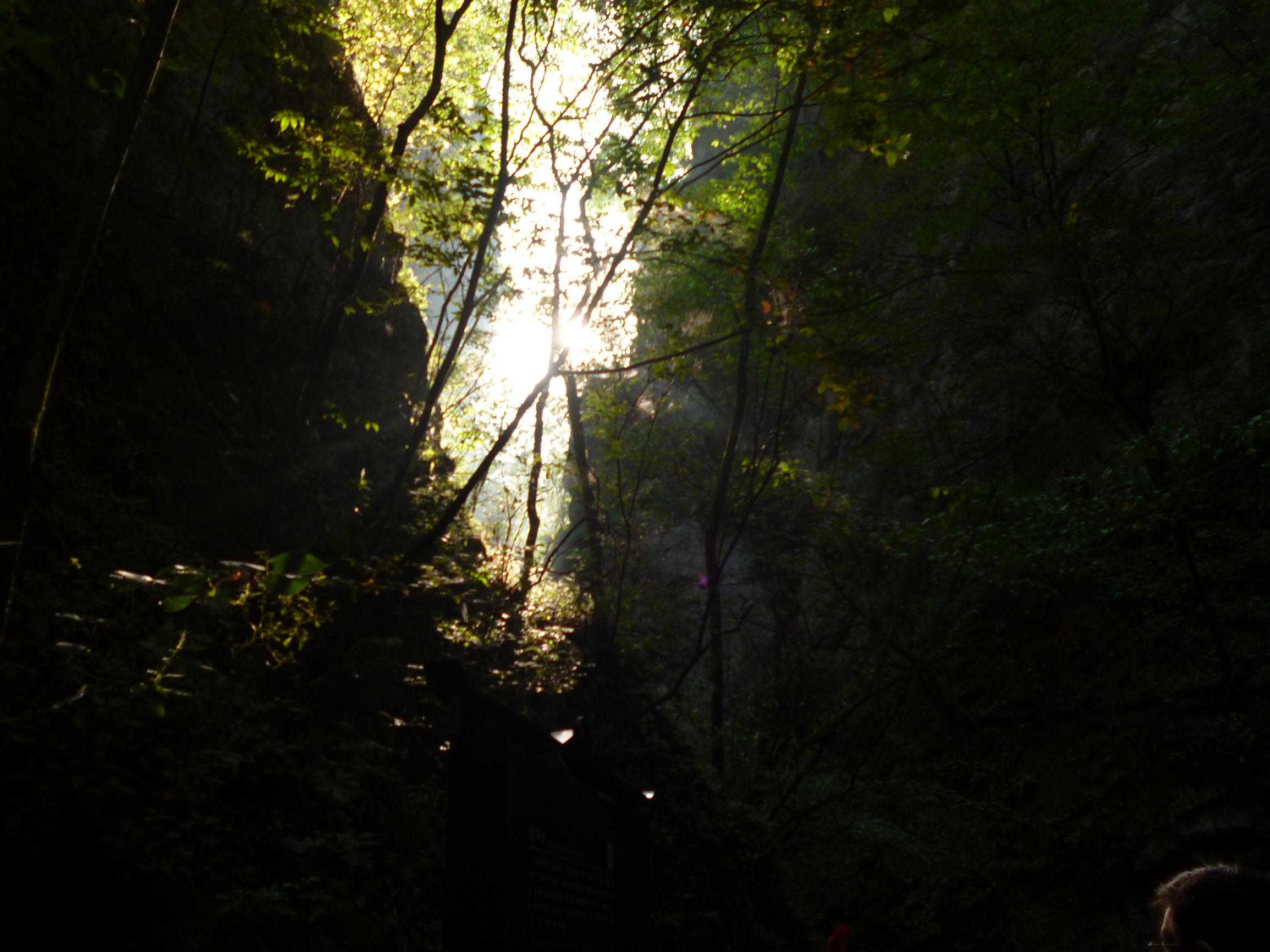 2月28日怎么玩才能赚回票价？