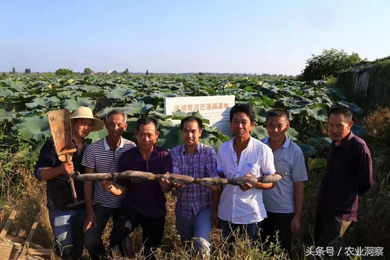 网店买卖平台排行榜哪家最靠谱？