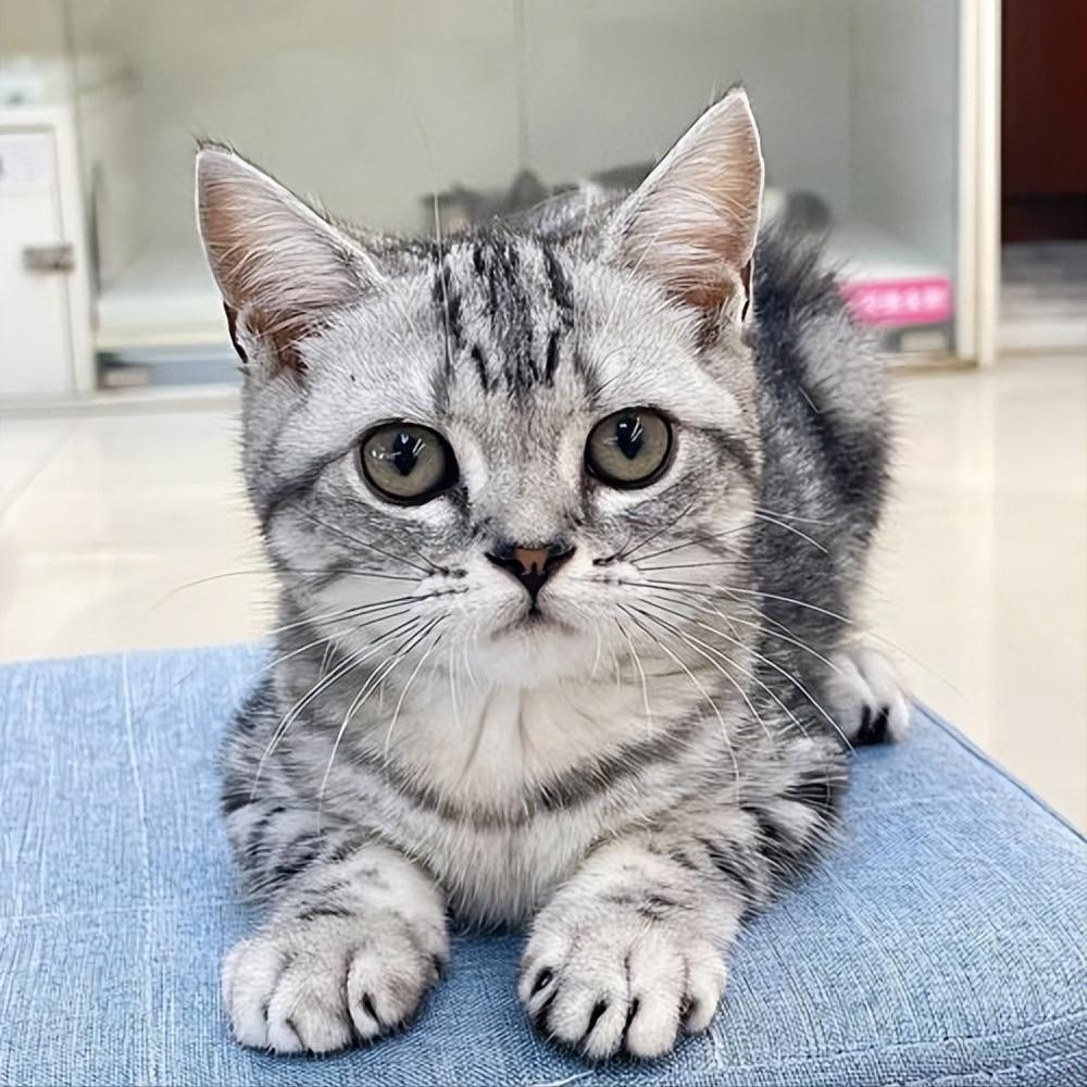 淘宝开店需要经营许可证吗？营业执照是必须的吗？