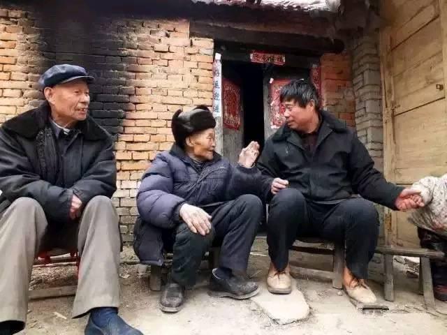 一只狗的大学时光能教会我们什么人生道理？