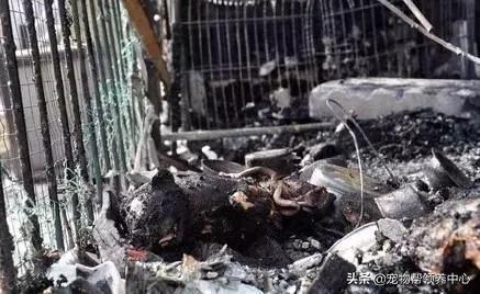 小孩取名技巧大全：如何为宝宝起一个好听又有意义的名字